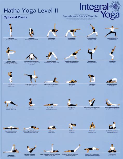 Level 1 Yoga Poses