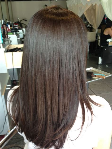 Level 4 Hair Color Inspiration