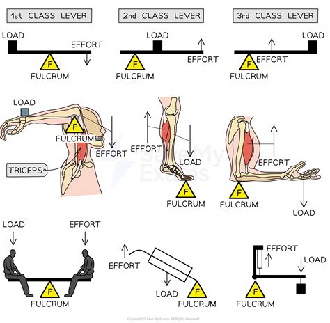 Levers Workout