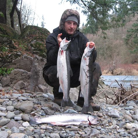 Lewis River Fishing Report
