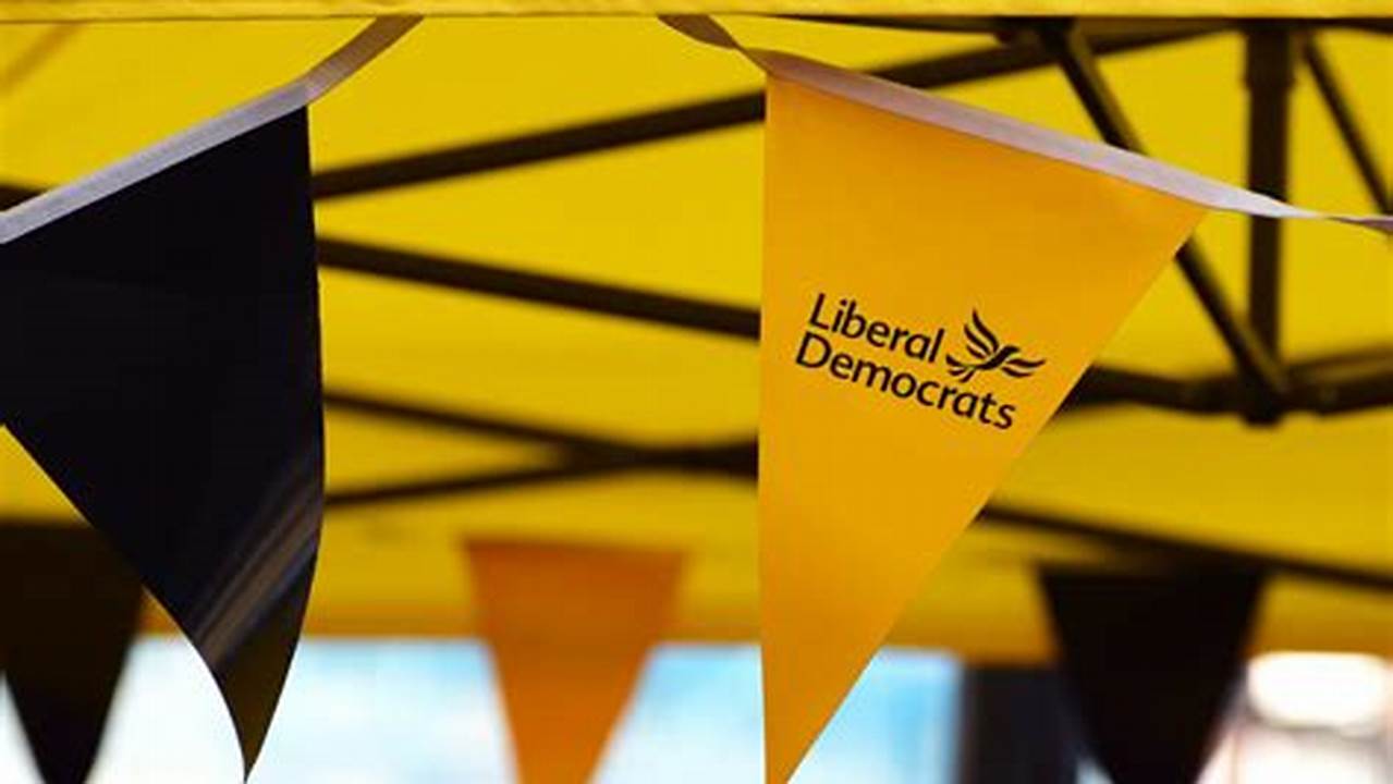 Lib Dem Policies 2024