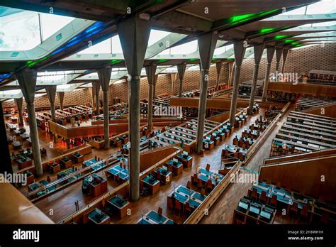 Library of Alexandria interior