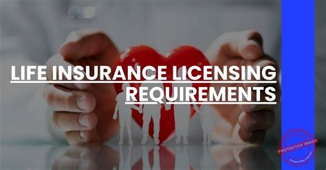 Licensing and Insurance Requirements