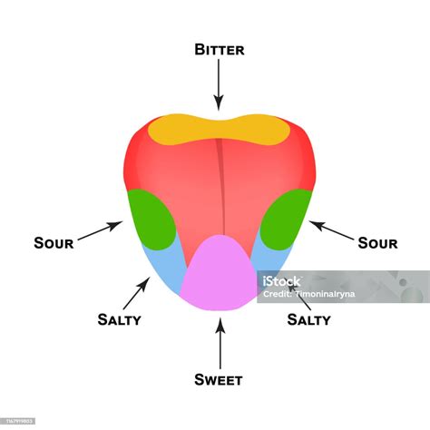 Lidah Pahit & Nafsu Makan Hilang: Solusi!
