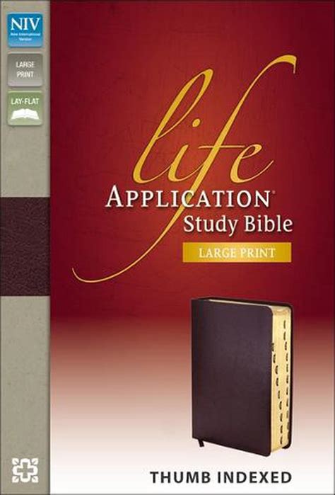Discover Deeper Meaning with Life Application Study Bible Large Print
