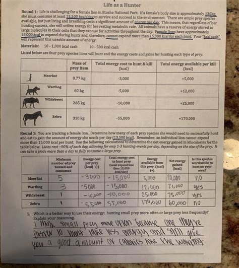 Life As A Hunter Worksheet Answers Worksheet Accounting