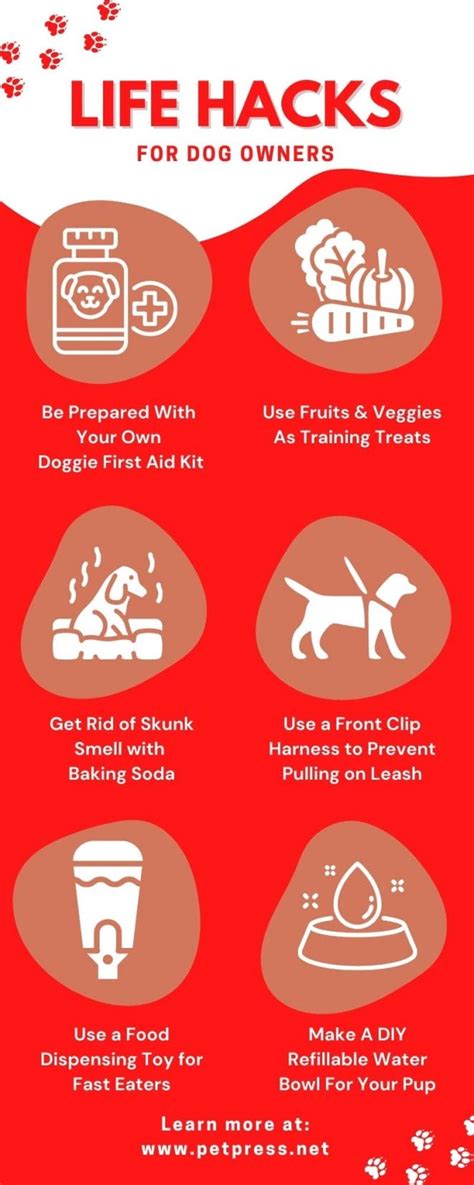 Life Hacks For Dog Owners
