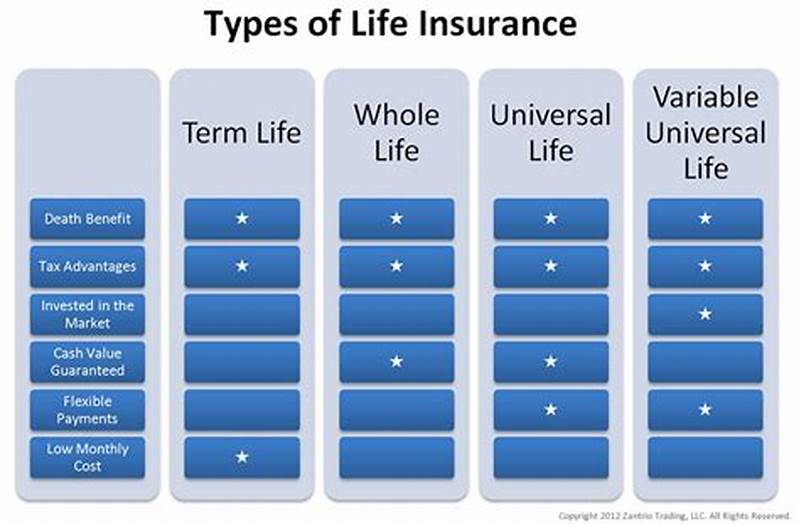 Life Insurance Types Chart
