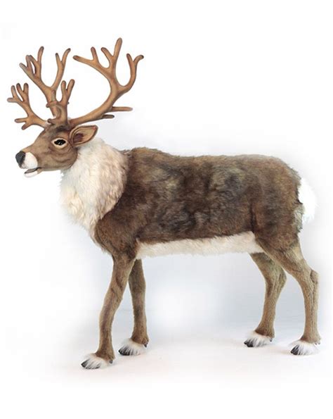 Realistic Life Size Reindeer Mex Events