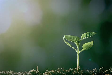 Life Transitions Therapy in Seattle