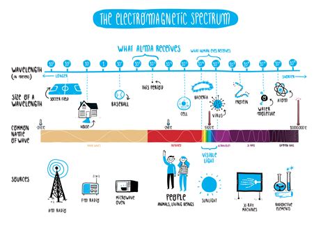 Infographic What Is the Spectrum