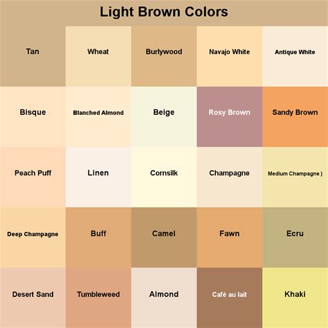 Choosing Your Perfect Shade: Warm, Neutral, or Ashy Light Brown?
