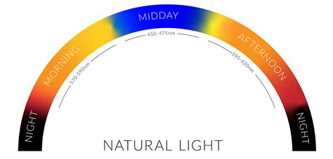 Light Matters: How Samples Change Throughout the Day