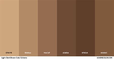Light vs. Dark Brown