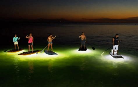 Lighted Paddleboard