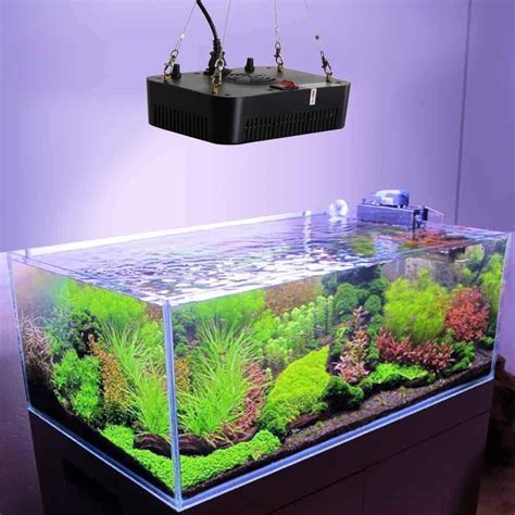 Lighting for your fish tank
