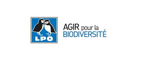 Ligue Protection Des Oiseaux
