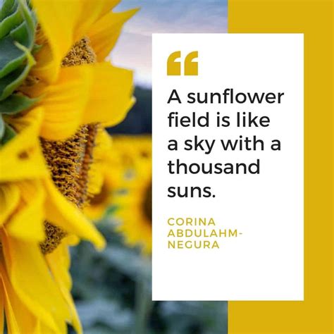 Like A Sunflower: The Beauty Of This Simple Flower