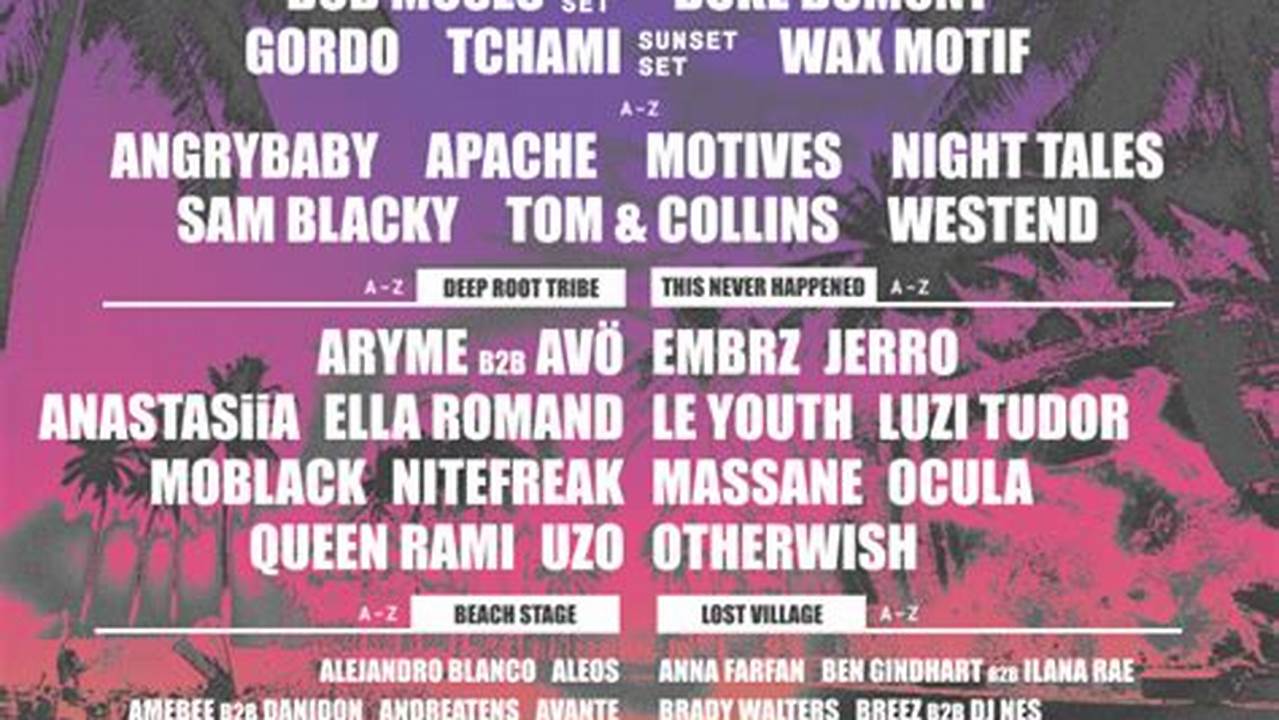 Lil Wayne Concert Setlist 2024