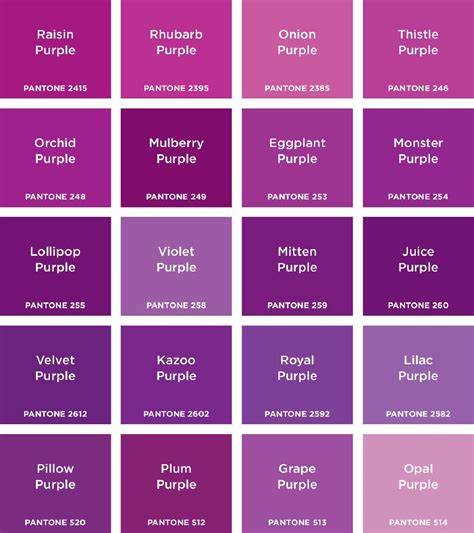 Perbedaan Warna Lilac Dan Purple