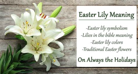 Lilies Easter Meaning