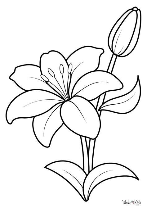 Lily Coloring Page