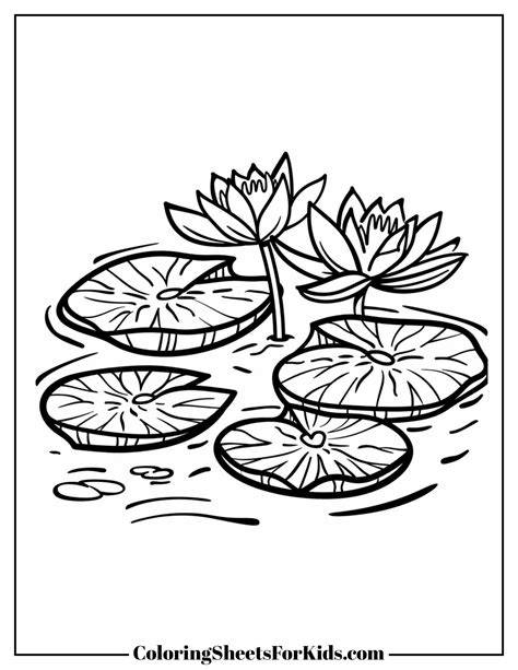 Lily Pad Coloring Page