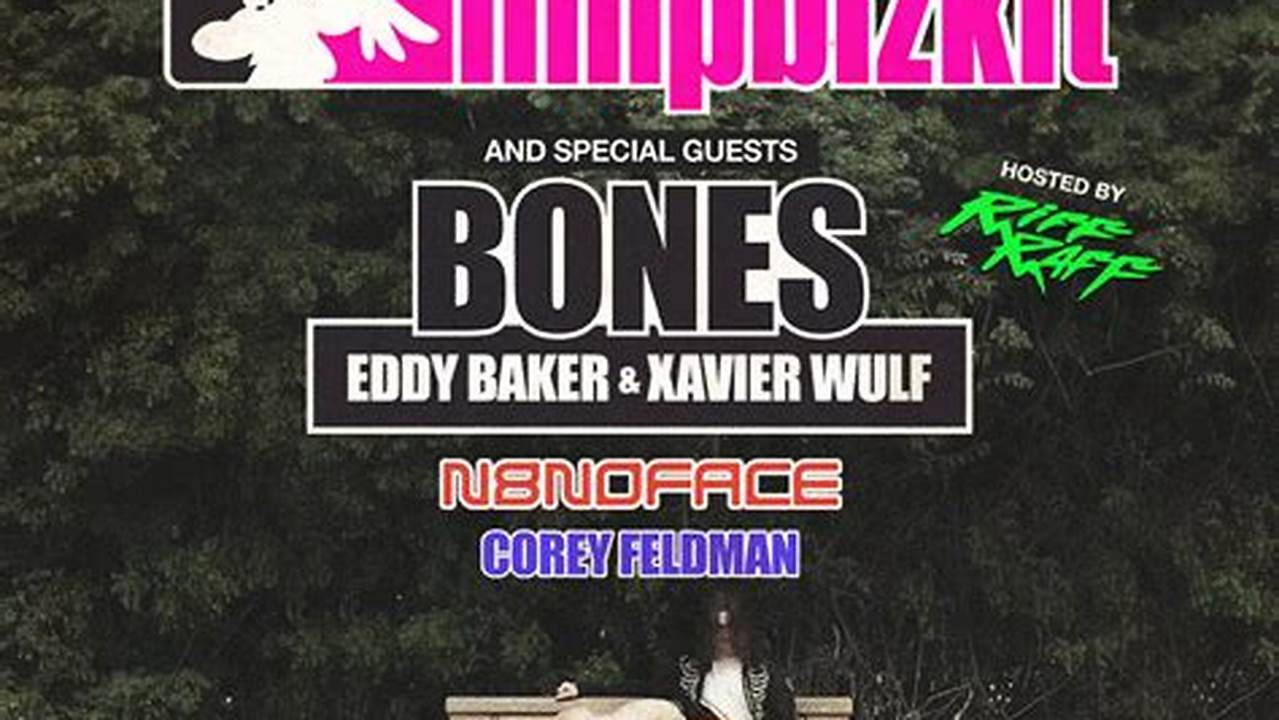 Limp Bizkit Concert Tour 2025