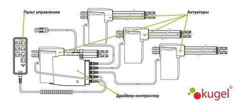 Efficient Wiring Guide: Decoding Linak Actuator Wiring Diagram Colors for Optimal Performance