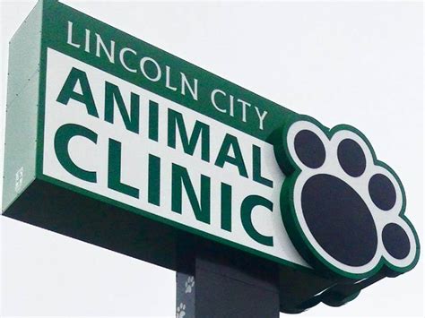 Expert Veterinary Care for Your Furry Friends at Lincoln City Animal Clinic in Lincoln City, OR