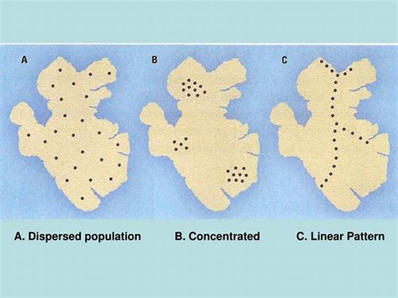 Linear Distribution Pattern