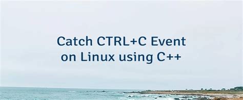 Linux: Catching Ctrl+C breaks stdin