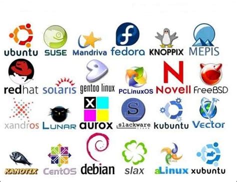 Linux: Sistem Operasi Open Source Terbaik
