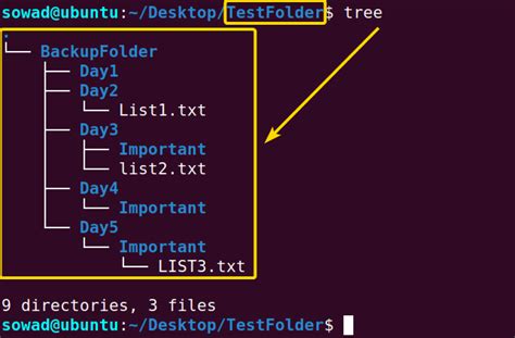 Linux FIND Several Files Example