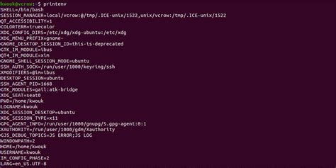 Linux Sudo Environment Variables