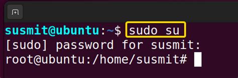 Linux Sudo Su Exit Code