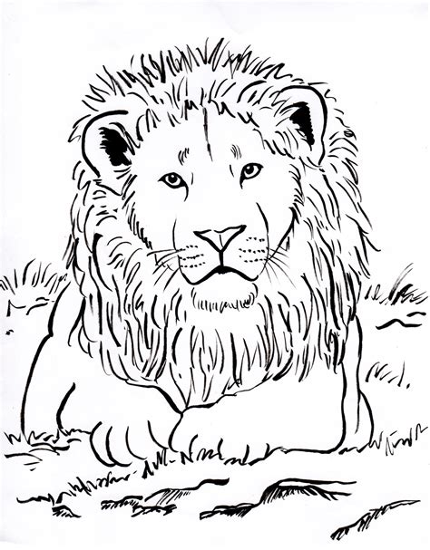 Lion Coloring Pages Printable