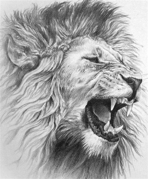Lion Tattoos for Men Ideas and image gallery for guys