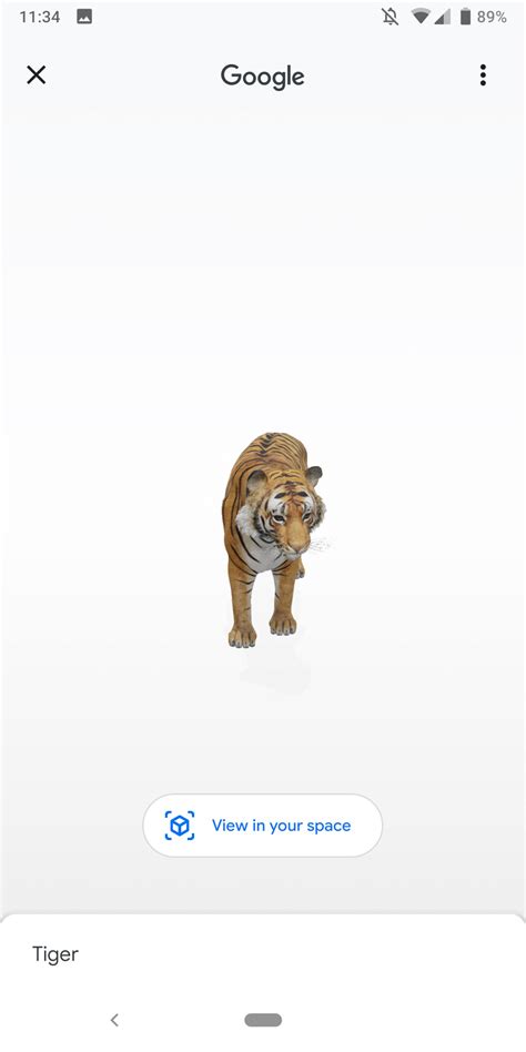 Lion 3D Google View In My Space