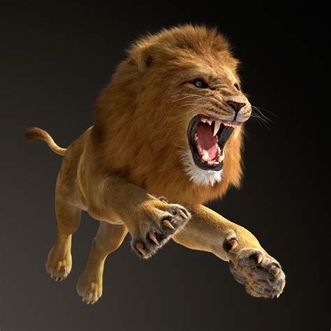 Lion 3D View In My Space Ipad