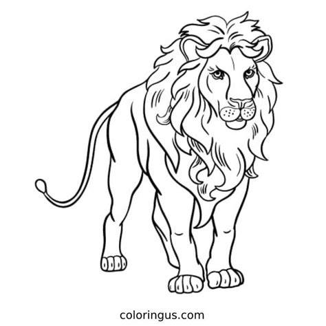Lion Coloring Book Page