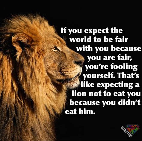 Lion wisdom