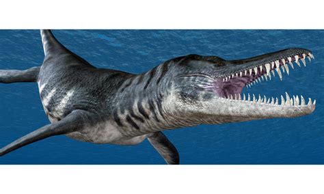 Liopleurodon