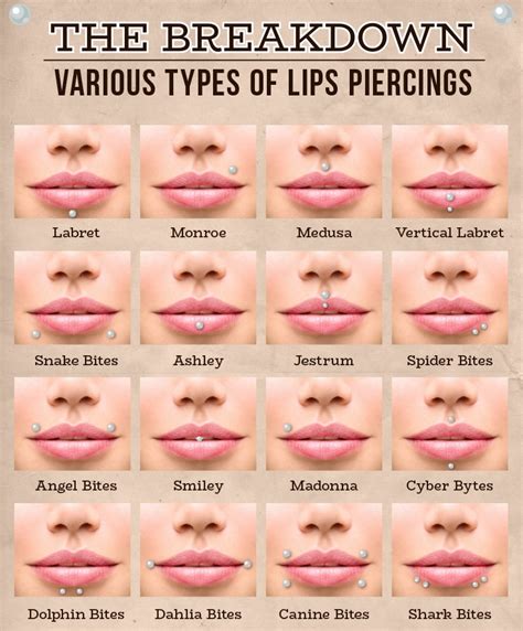 Lip Ring Length Chart