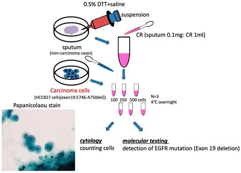 Liquid-Based Cytology Test and interpretation