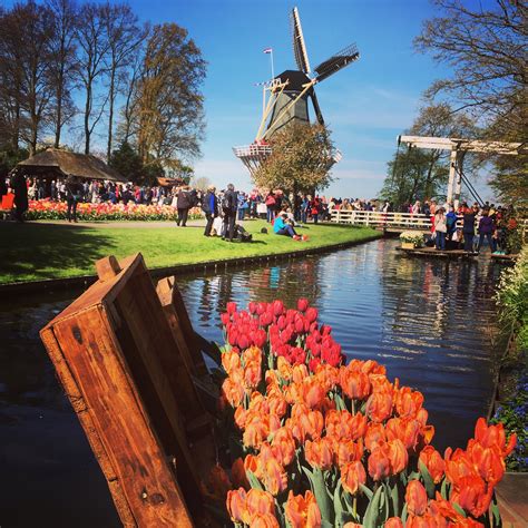 Lisse Drive It Yourself History & Castle Audio Tour: An Honest Review