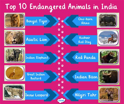 List 10 Endangered Animals In India