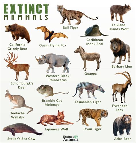 List Cute Extinct Animals