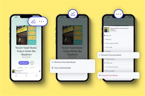Listening Offline: Downloads and Local Files