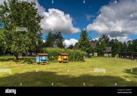 Lithuanian beekeeping